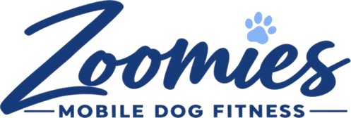 Zoomies Mobile Dog Fitness